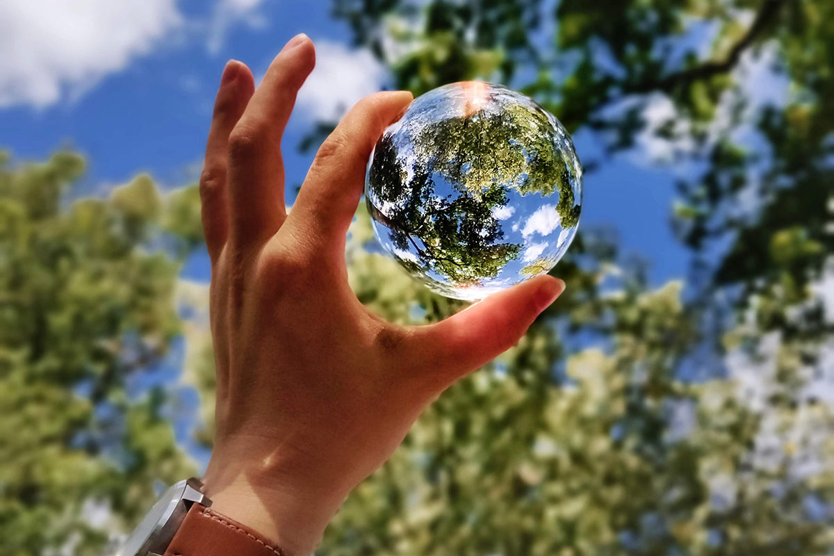 Prosperity Candle's 6 Simple Changes You Can Make To Help The Environment This Earth Day
